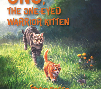 Uno, the One-Eyed Warrior Kitten was released in October of 2025. This is Rosie's twelfth children's book. 