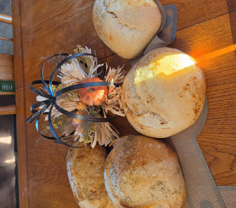 Sourdough