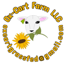 Sheep with sunflower