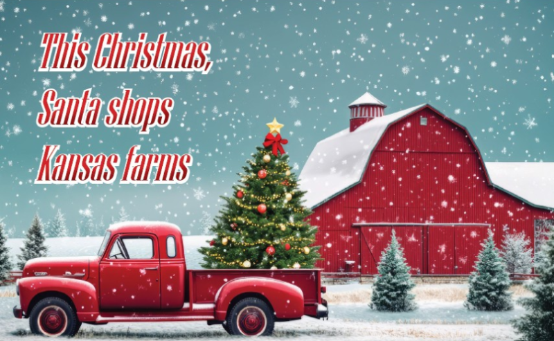 Shopping for Kansas christmas gifts