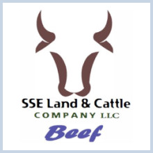 SSE Land & Cattle Company LLC Logo