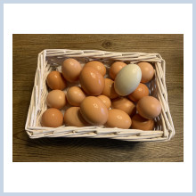 Farm eggs for sale