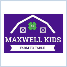 Maxwell kids color logo