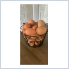 Basket of beautiful eggs
