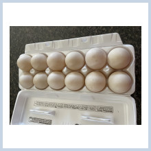 Duck Eggs - $6 dozen