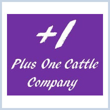 Plus One Cattle Company