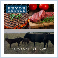 promo image for pryor cattle