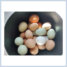 18 ct fresh eggs 4.00