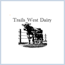 Cow and Calf walking West under the banner of Trails West Dairy