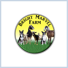 Bright Marvel Farm