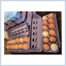 Farm fresh eggs