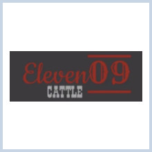 Eleven09 Cattle