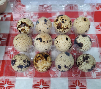 Quail eggs