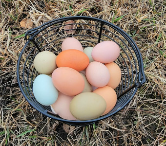 Basket of colorful eggs