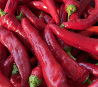 Georgian Landrace Sweet Pepper