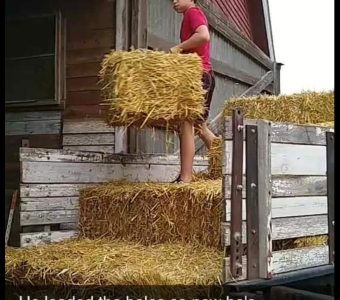 Straw bales