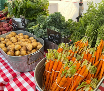 Werner Creek Farm Produce