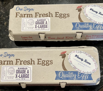 Fresh farm eggs