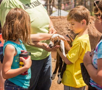 Kids holding goat.