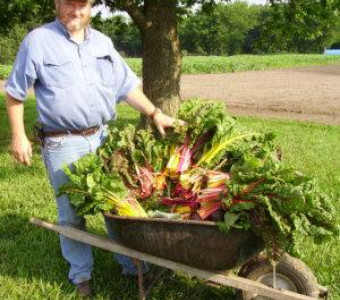 John Crisp with Chard in Kansas