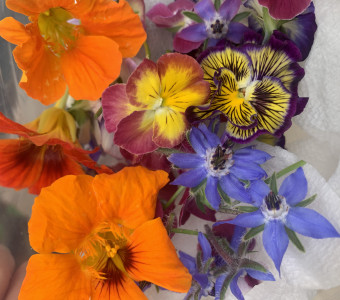 Assorted Edible Flowers