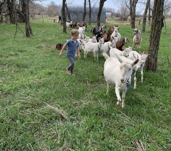 goat cheese in Kansas