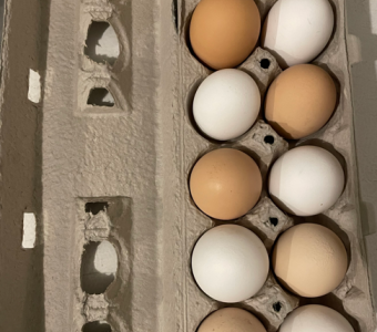 Chicken Eggs