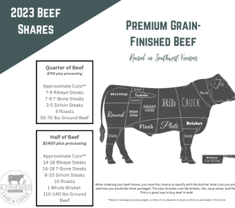 Beef Shares Available for August 2023