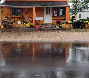 Flying Toads Farm Store in Oxford, Kansas