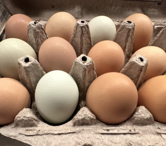 Farm fresh eggs 