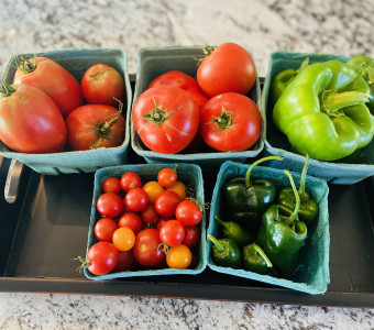 Tomatoes and peppers grown in Kansas
