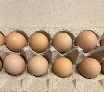 Kansas grown Eggs