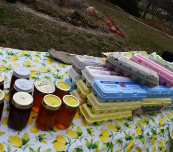 Pints of local raw honey and cartons of farm fresh eggs from Beach Fresh Egg Farm.