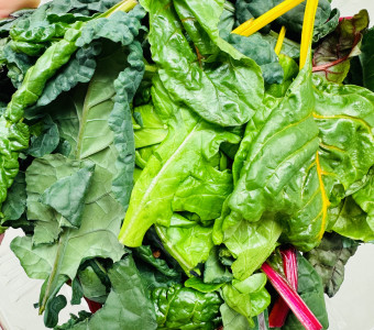 A vibrant variety of spring mix.