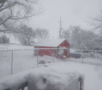 Snowy barn 