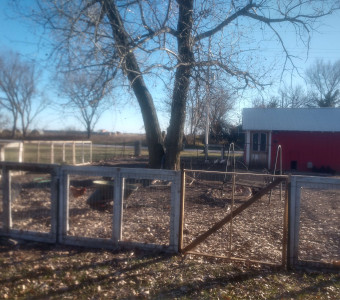 Fence and barn