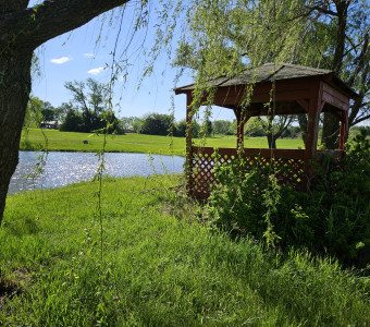 Peaceful small pond with small red gazebo under weeping willow branches 