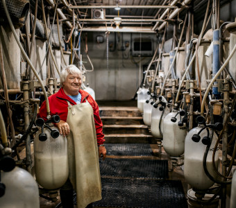 Calvin Nisly in milking parlor