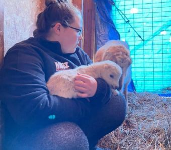 Goat Cuddles