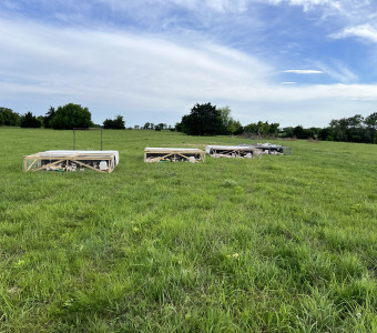 Pasture Raised Chicken