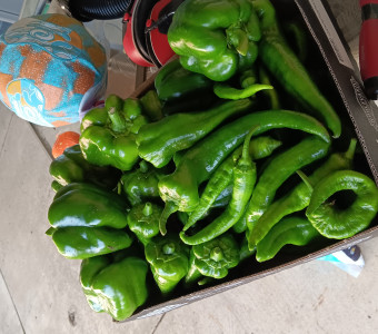 Peppers