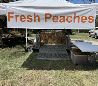 Fresh peaches