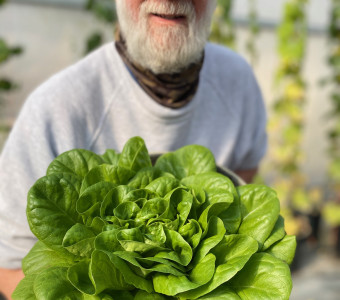 Jim holding head of lettuce