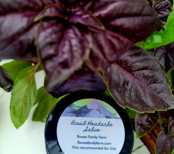 Basil Headache salve