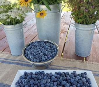Blueberries