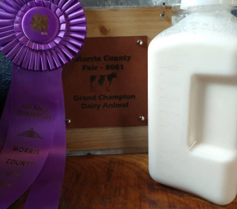 Farm Fresh Dairy 