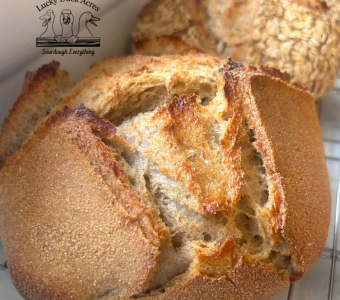 Whole Wheat Sourdough
