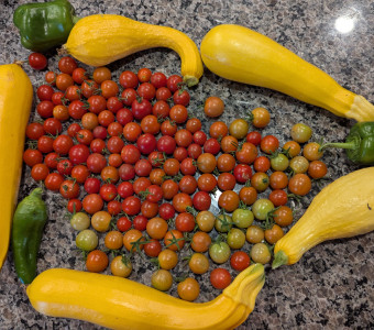 Fresh Veggies
