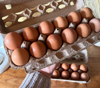 Farm fresh eggs