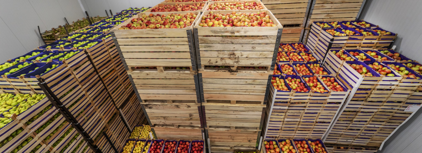 buying food locally